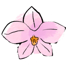orchid