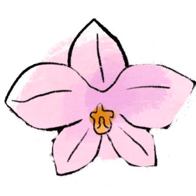 orchid