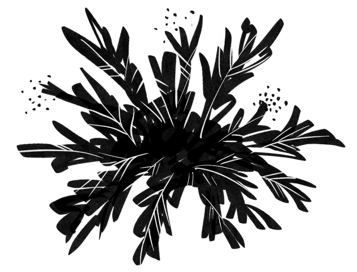 bush background
