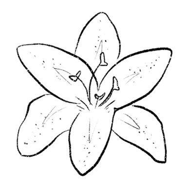 lily