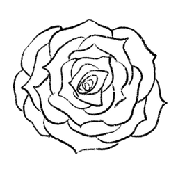 rose