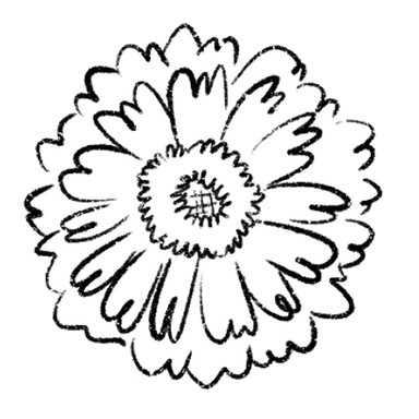 zinnia